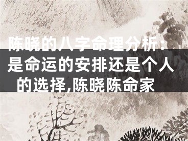 陈晓的八字命理分析：是命运的安排还是个人的选择,陈晓陈命家