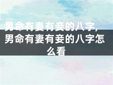 男命有妻有妾的八字,男命有妻有妾的八字怎么看