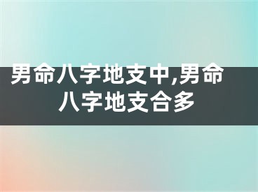 男命八字地支中,男命八字地支合多
