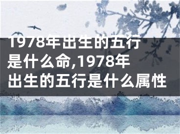1978年出生的五行是什么命,1978年出生的五行是什么属性