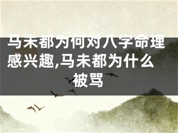 马未都为何对八字命理感兴趣,马未都为什么被骂