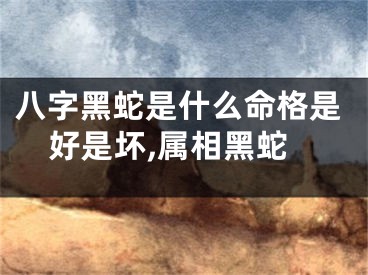 八字黑蛇是什么命格是好是坏,属相黑蛇