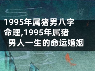1995年属猪男八字命理,1995年属猪男人一生的命运婚姻