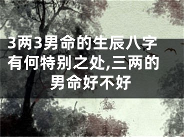 3两3男命的生辰八字有何特别之处,三两的男命好不好