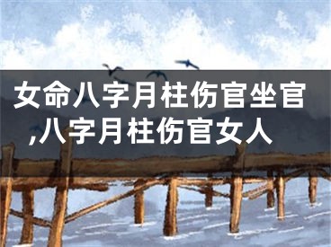 女命八字月柱伤官坐官,八字月柱伤官女人