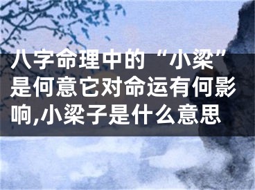 八字命理中的“小梁”是何意它对命运有何影响,小梁子是什么意思