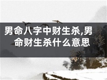 男命八字中财生杀,男命财生杀什么意思