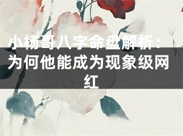 小杨哥八字命盘解析：为何他能成为现象级网红