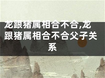 龙跟猪属相合不合,龙跟猪属相合不合父子关系