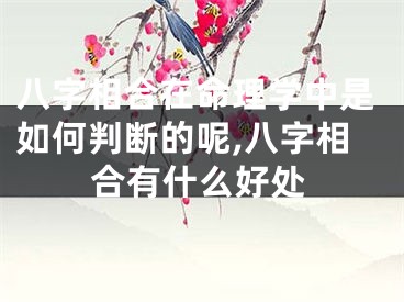 八字相合在命理学中是如何判断的呢,八字相合有什么好处