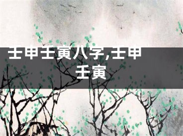 壬申壬寅八字,壬申 壬寅