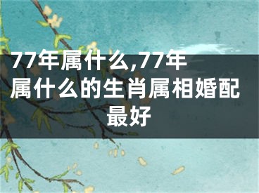 77年属什么,77年属什么的生肖属相婚配最好