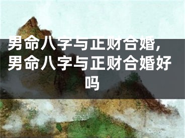 男命八字与正财合婚,男命八字与正财合婚好吗