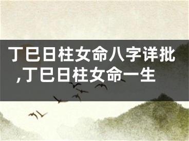 丁巳日柱女命八字详批,丁巳日柱女命一生