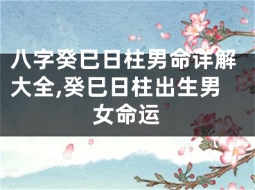 八字癸巳日柱男命详解大全,癸巳日柱出生男女命运