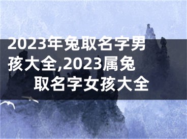 2023年兔取名字男孩大全,2023属兔取名字女孩大全