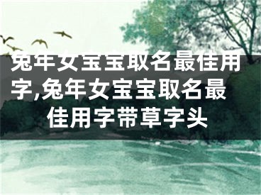 兔年女宝宝取名最佳用字,兔年女宝宝取名最佳用字带草字头