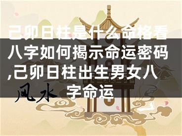 己卯日柱是什么命格看八字如何揭示命运密码,己卯日柱出生男女八字命运