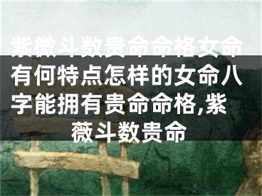 紫微斗数贵命命格女命有何特点怎样的女命八字能拥有贵命命格,紫薇斗数贵命