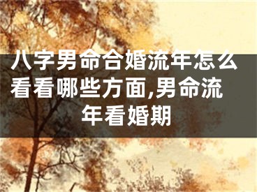 八字男命合婚流年怎么看看哪些方面,男命流年看婚期