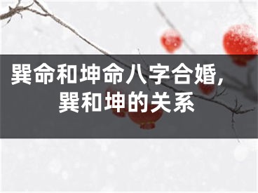 巽命和坤命八字合婚,巽和坤的关系