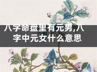 八字命盘里有元男,八字中元女什么意思