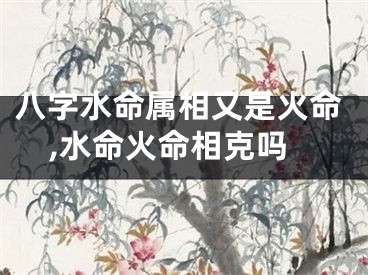 八字水命属相又是火命,水命火命相克吗