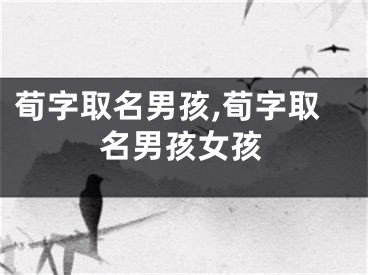 荀字取名男孩,荀字取名男孩女孩