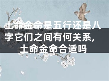 土命金命是五行还是八字它们之间有何关系,土命金命合适吗
