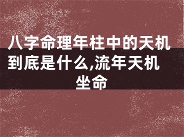 八字命理年柱中的天机到底是什么,流年天机坐命