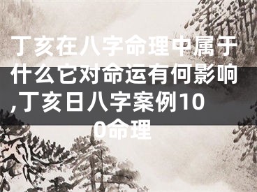 丁亥在八字命理中属于什么它对命运有何影响,丁亥日八字案例100命理