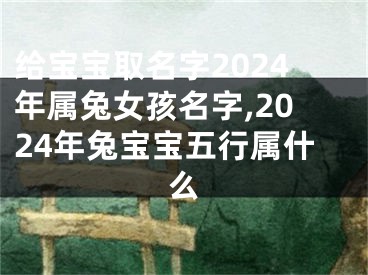 给宝宝取名字2024年属兔女孩名字,2024年兔宝宝五行属什么