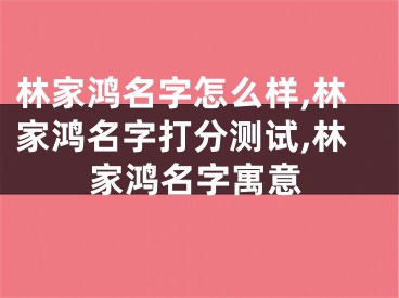 林家鸿名字怎么样,林家鸿名字打分测试,林家鸿名字寓意