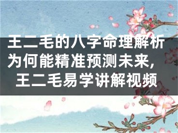 王二毛的八字命理解析为何能精准预测未来,王二毛易学讲解视频
