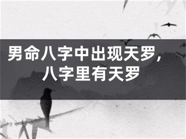 男命八字中出现天罗,八字里有天罗
