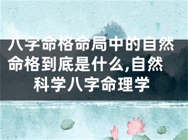 八字命格命局中的自然命格到底是什么,自然科学八字命理学