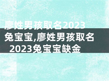 廖姓男孩取名2023兔宝宝,廖姓男孩取名2023兔宝宝缺金
