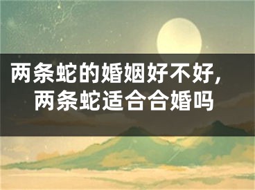 两条蛇的婚姻好不好,两条蛇适合合婚吗