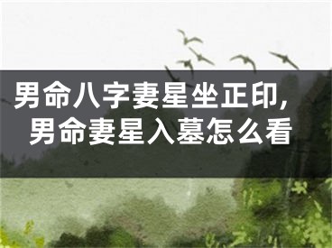 男命八字妻星坐正印,男命妻星入墓怎么看