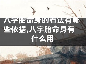 八字胎命身的看法有哪些依据,八字胎命身有什么用