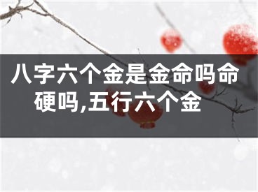 八字六个金是金命吗命硬吗,五行六个金
