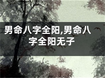 男命八字全阳,男命八字全阳无子