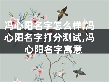 冯心阳名字怎么样,冯心阳名字打分测试,冯心阳名字寓意