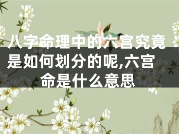 八字命理中的六宫究竟是如何划分的呢,六宫命是什么意思