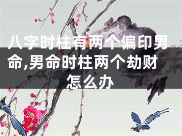 八字时柱有两个偏印男命,男命时柱两个劫财怎么办