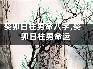 癸卯日柱男命八字,癸卯日柱男命运