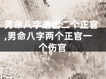 男命八字透出二个正官,男命八字两个正官一个伤官