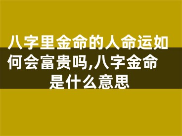 八字里金命的人命运如何会富贵吗,八字金命是什么意思