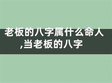 老板的八字属什么命人,当老板的八字