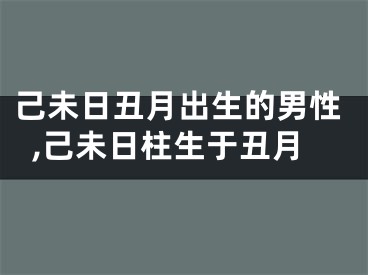 己未日丑月出生的男性,己未日柱生于丑月